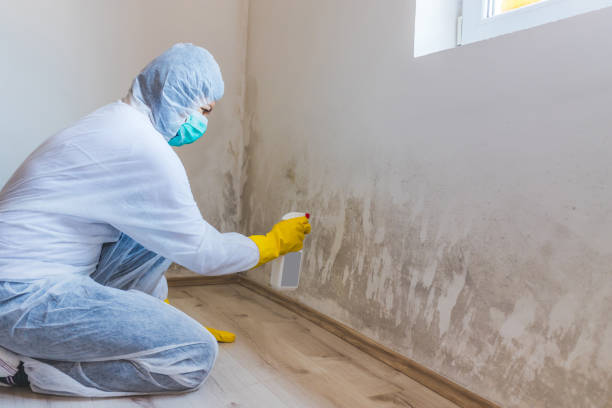 Mold Remediation specialist working in Dunn